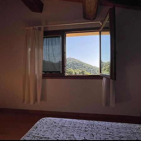 Agriturismo Il Sorbo Appartamento Menta Sticciano Eksteriør bilde