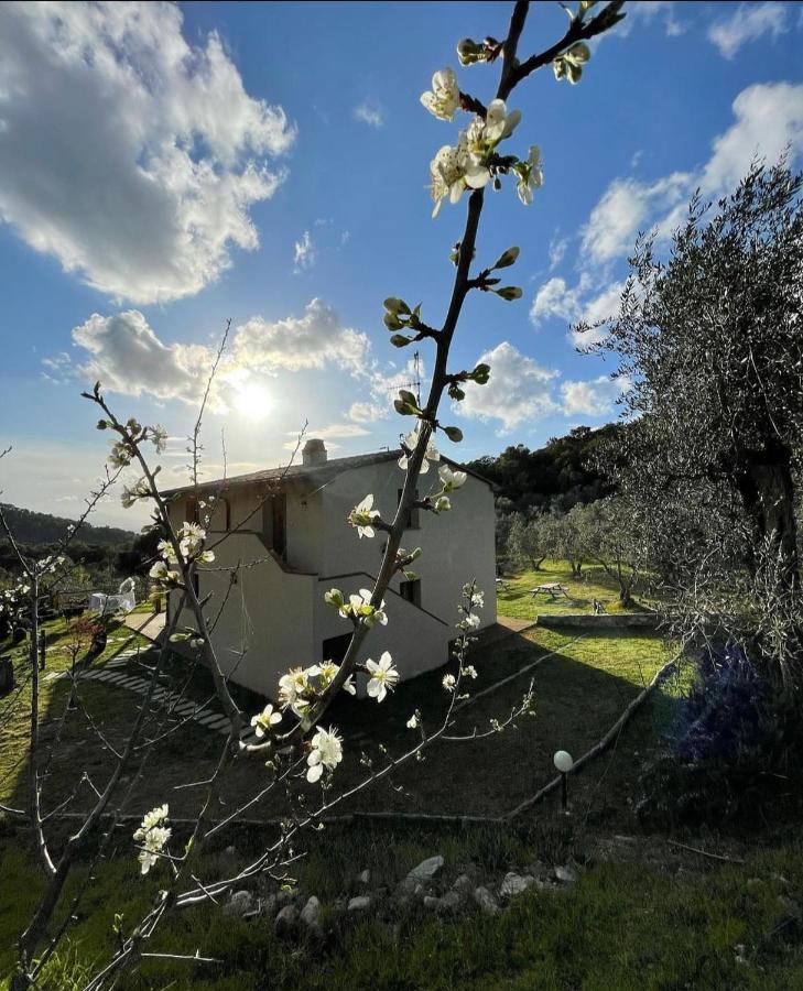 Agriturismo Il Sorbo Appartamento Menta Sticciano Eksteriør bilde